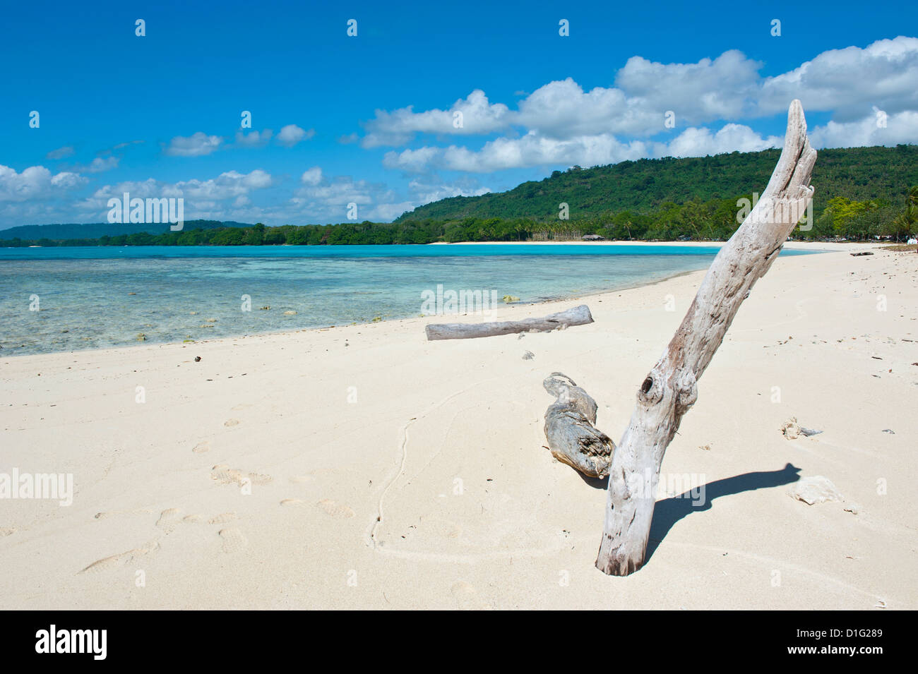 Bois flotté sur la plage de sable blanc de Port Orly, Île d'Espiritu Santo, Vanuatu, Pacifique Sud, Pacifique Banque D'Images
