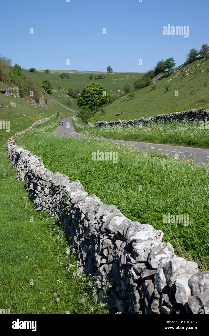 Dale Long près de Hartington, Peak District, Derbyshire, Angleterre, Royaume-Uni, Europe Banque D'Images