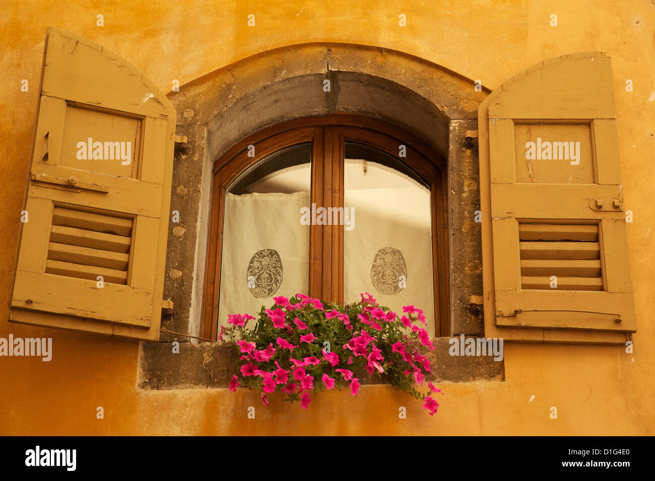 Fenêtre à volets et fleurs, Piazza Mercato, Belluno, province de Belluno, Vénétie, Italie, Europe Banque D'Images