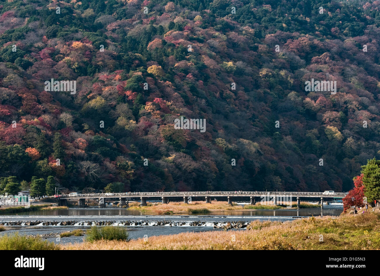 Vue sur le pont de passage de la rivière Katsura, en aval du Mont Arashiyama, en automne - Arashiyama, Kyoto, Japon Banque D'Images