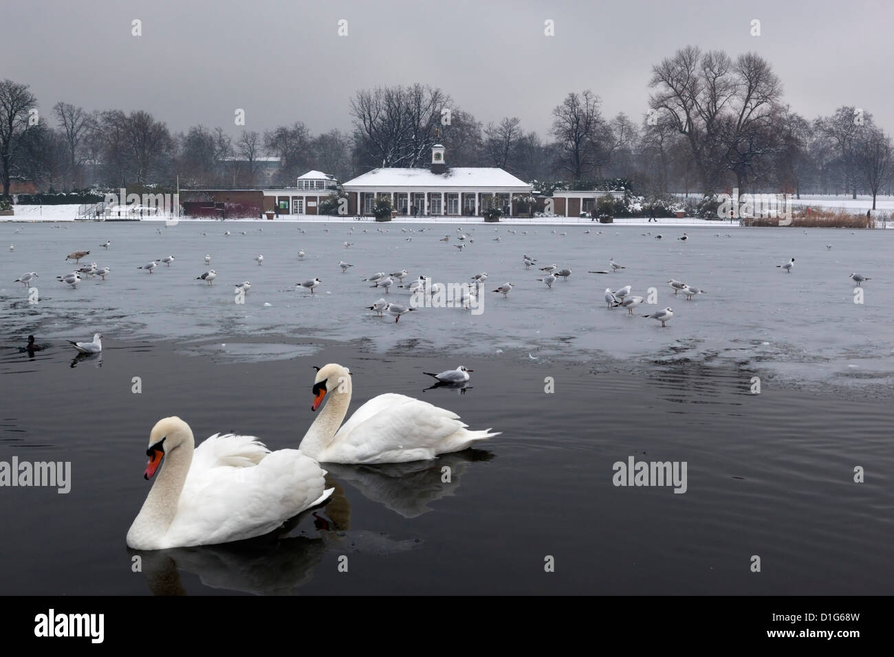 En hiver, la serpentine, à Hyde Park, Londres, Angleterre, Royaume-Uni, Europe Banque D'Images