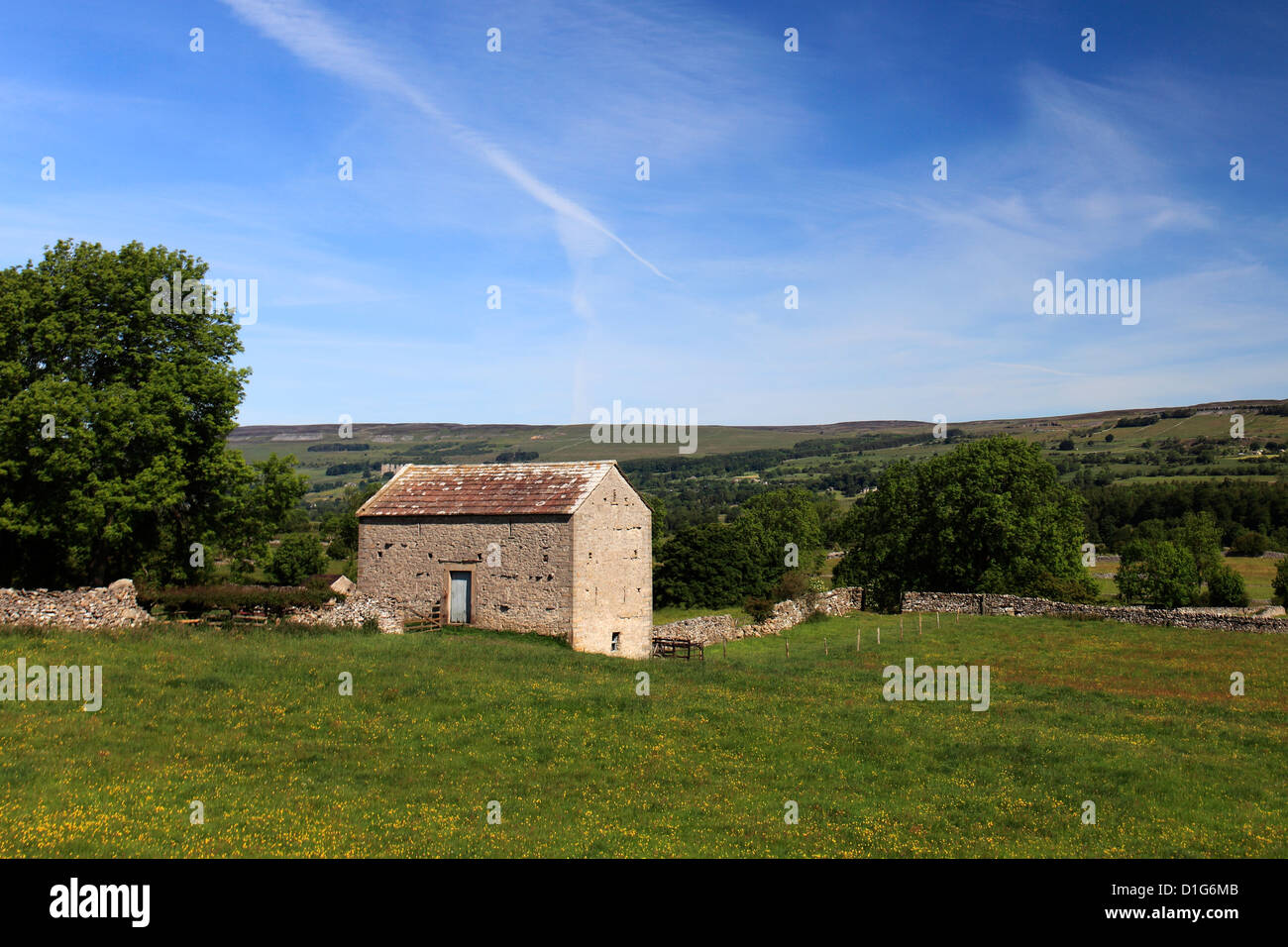 Des fleurs des champs d'été, West Witton Moor surplombant West Witton village, Yorkshire Dales, North Yorkshire, England, UK Banque D'Images