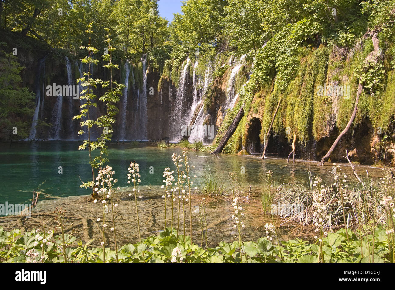 La Croatie, Elk192-1855 Le parc national des Lacs de Plitvice, supérieur des Grands lacs, cascades Banque D'Images