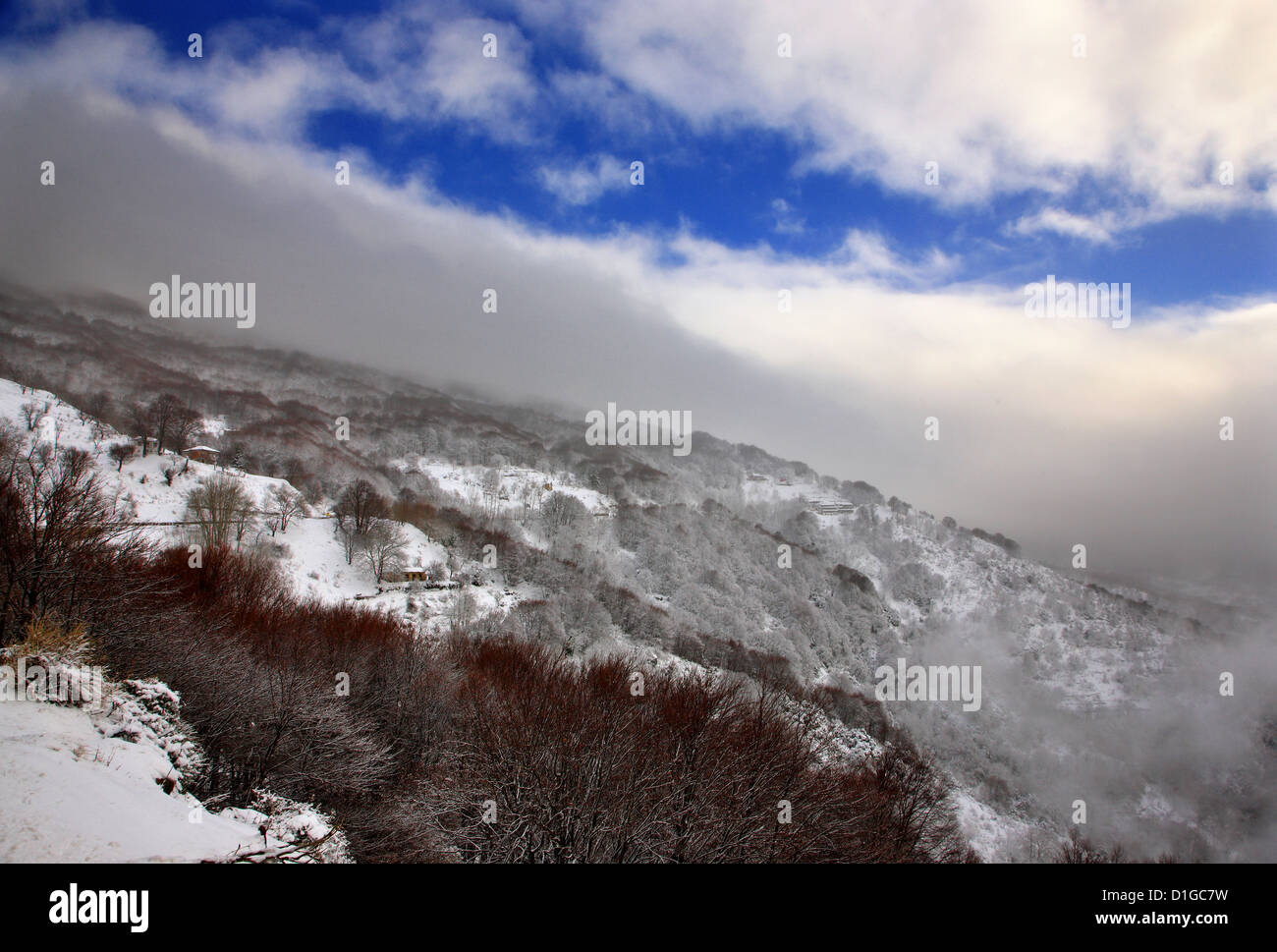 Paysage de neige à Pelion Mountain, magnésie, Thessalie, Grèce Banque D'Images