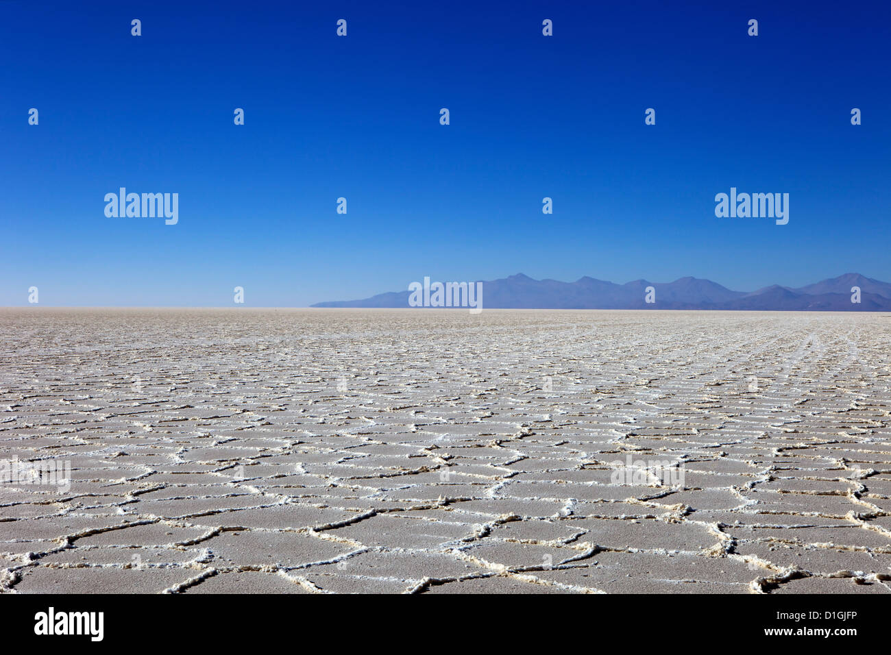 Détails de l'des gisements de sel dans le Salar de Uyuni sel et les montagnes des Andes, dans le sud-ouest de la Bolivie, Bolivie Banque D'Images
