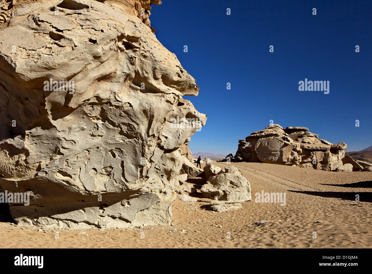 Rock formation à la faune andine Eduardo Avaroa Réserve Nationale, au sud-ouest des Highlands, Bolivie, Amérique du Sud Banque D'Images