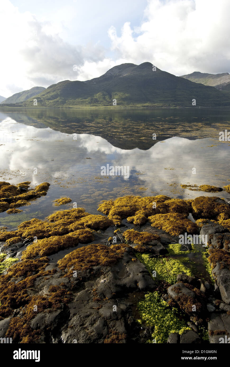Paysage sur l'île de Mull, Hébrides intérieures, Ecosse, Royaume-Uni, Europe Banque D'Images