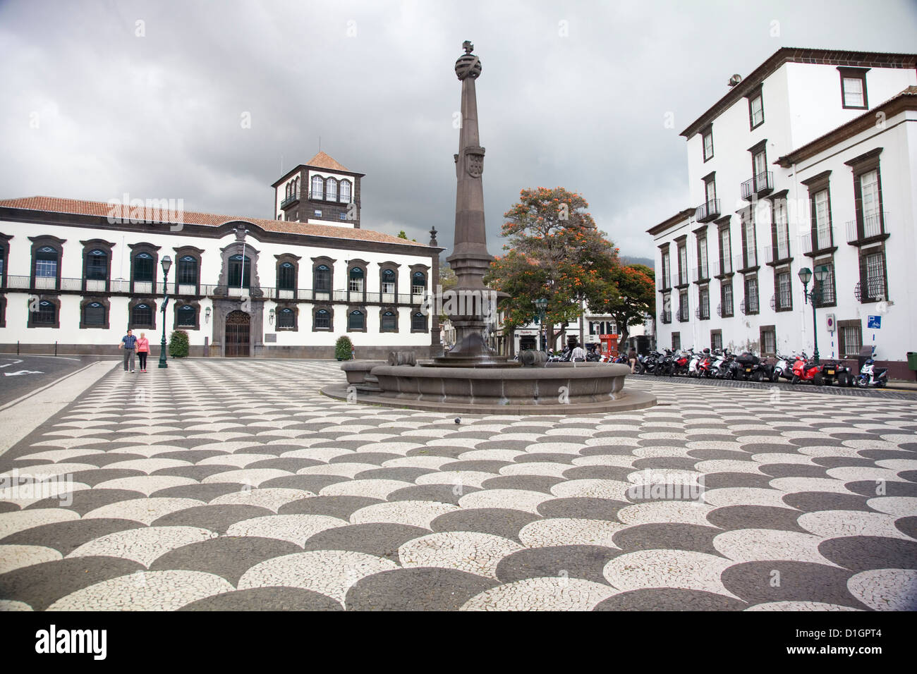 Vue sur la place municipale (Praca Do Municipio) avec l'hôtel de ville (Camara Municipal), Funchal, Madère. Banque D'Images
