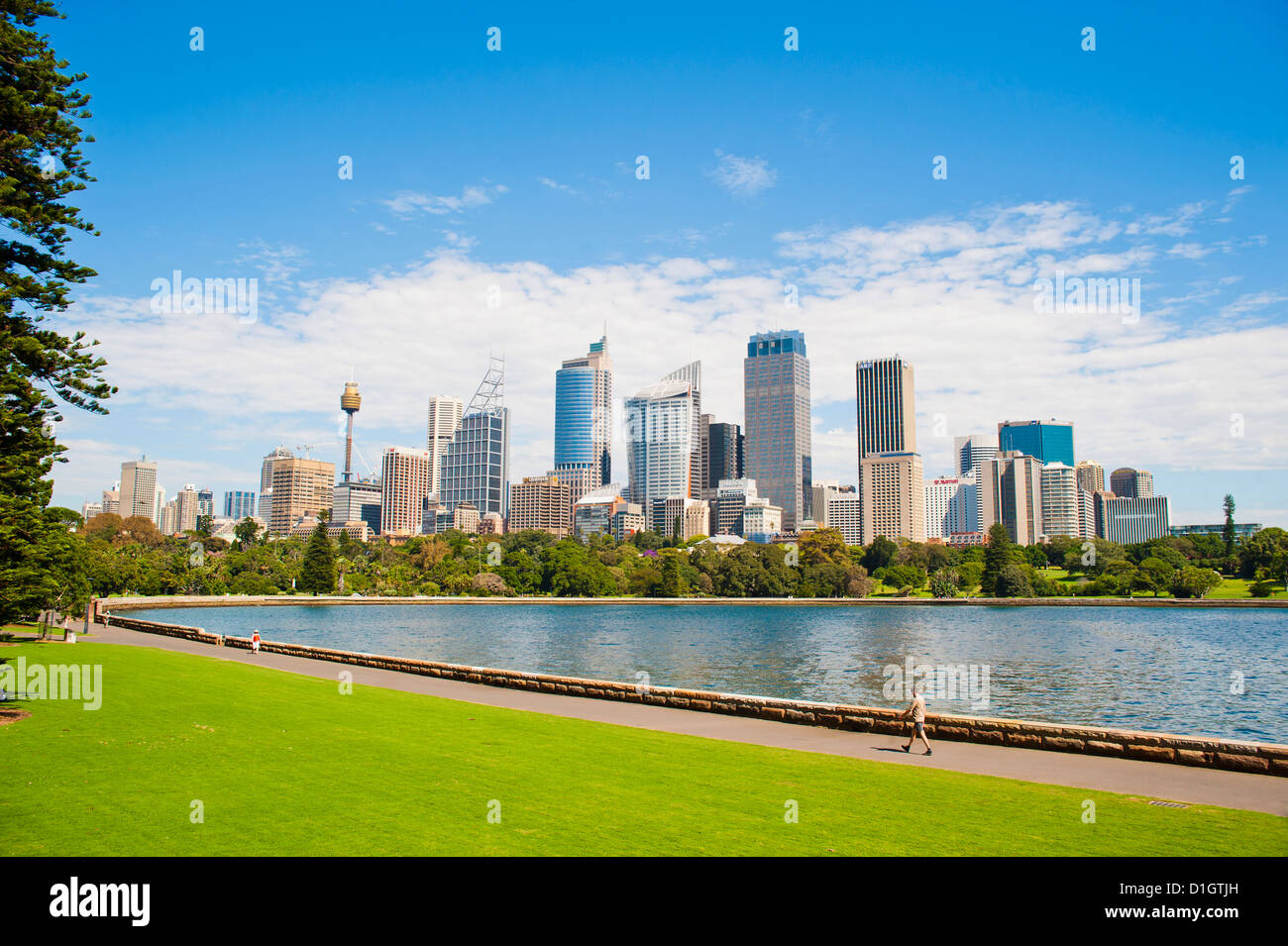 Le centre-ville de Sydney et Central Business District (CBD) de Sydney, Royal Botanic Gardens, Sydney, New South Wales, Australia Banque D'Images