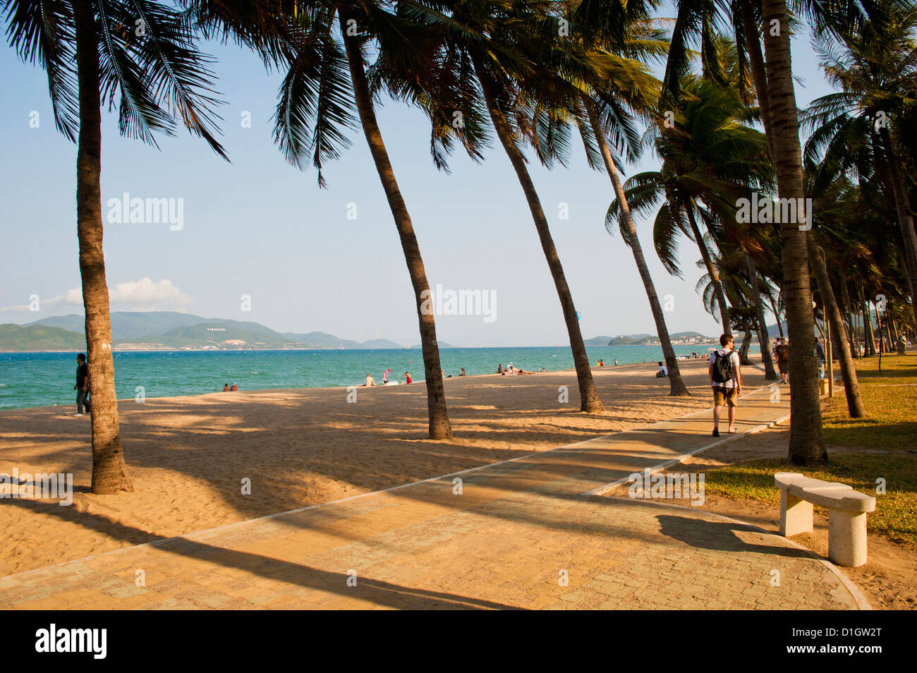 Palmiers à belle plage de Nha Trang, Vietnam, Indochine, Asie du Sud-Est, l'Asie Banque D'Images