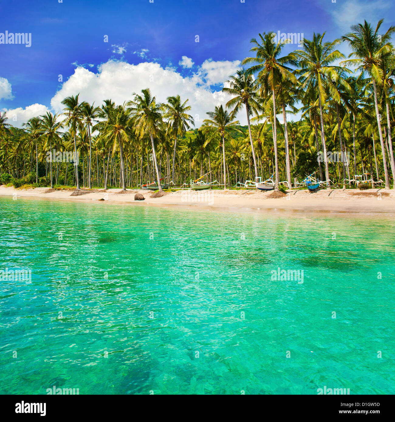 L'eau turquoise et les palmiers de Nippah Beach, Indonésie, Asie du Sud, Asie Banque D'Images