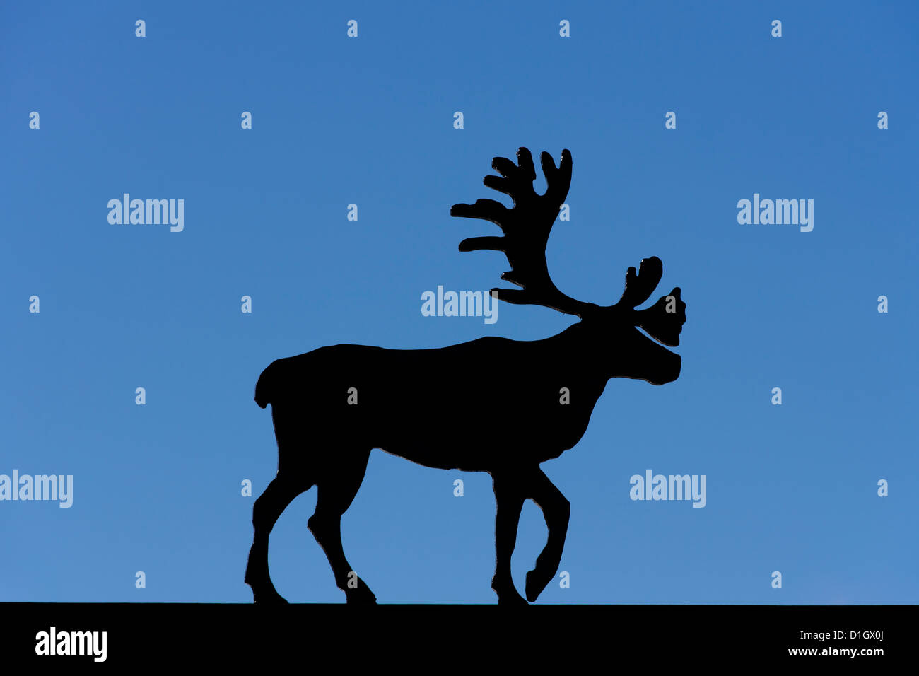 Silhouette de renne / le caribou (Rangifer tarandus) figure against blue sky, Sweden, Scandinavie Banque D'Images