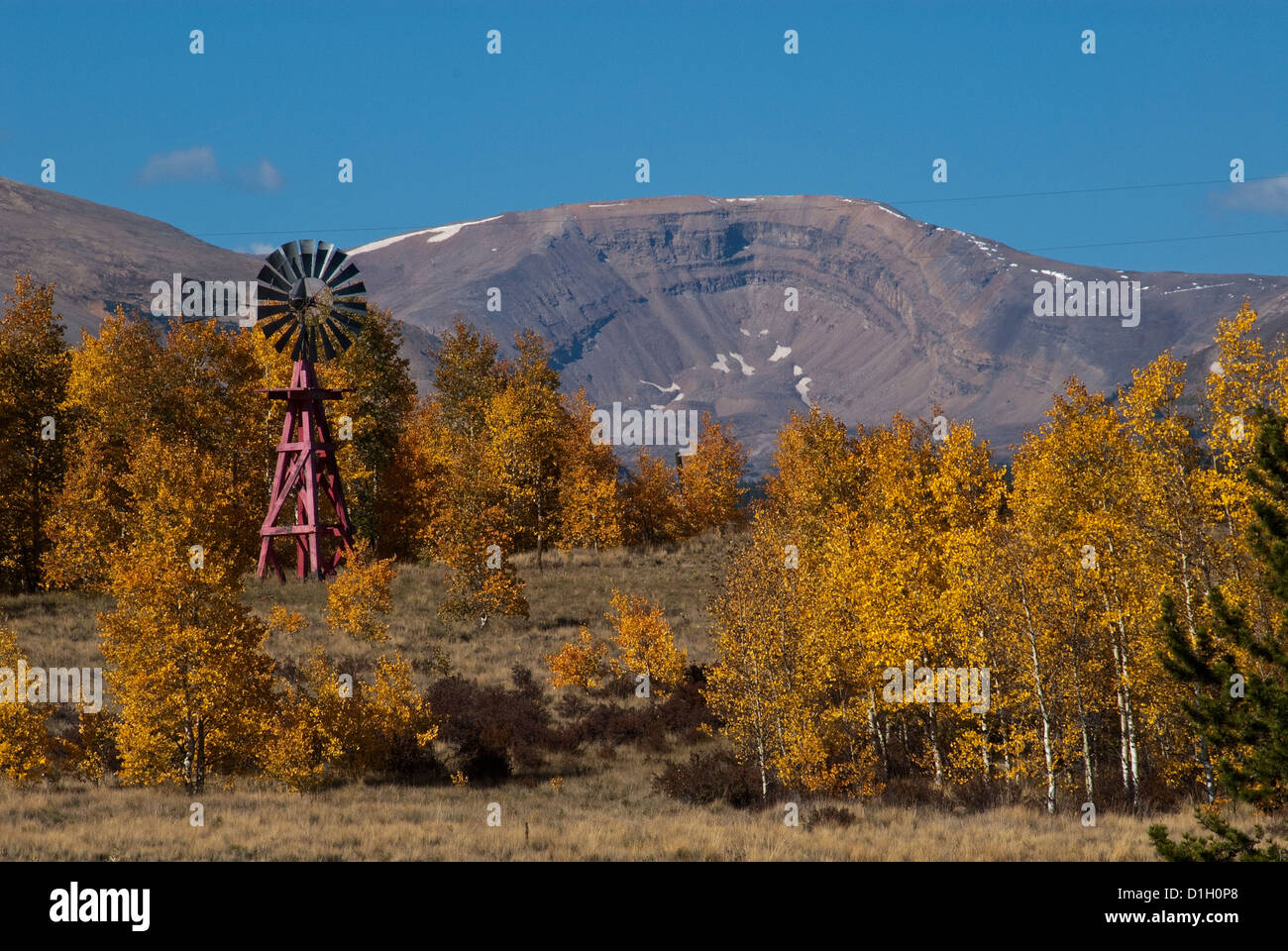 Moulin à vent et de couleur à l'automne près de Fairplay Park Comté Colorado USA Banque D'Images