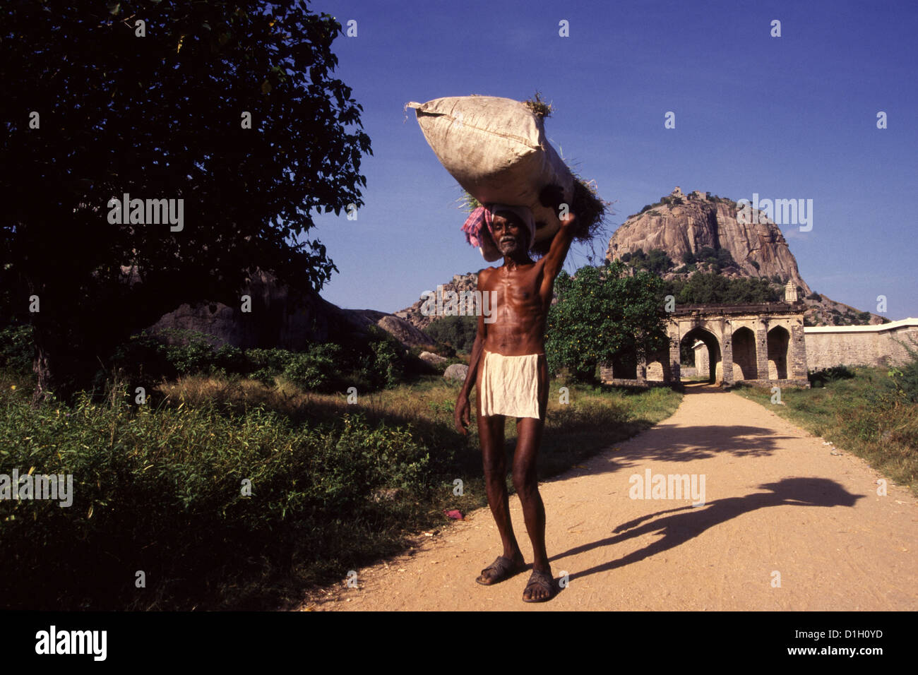 Un villageois transportant un sac rempli avec des herbes sur sa tête dans Gingee Fort localement appelé Senji au Tamil Nadu Inde Banque D'Images