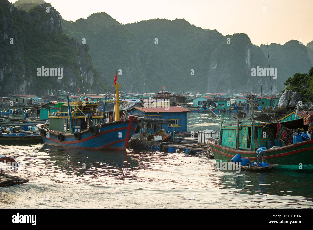 Vue générale du port de Cat Ba dans la baie d'Halong Vietnam Banque D'Images