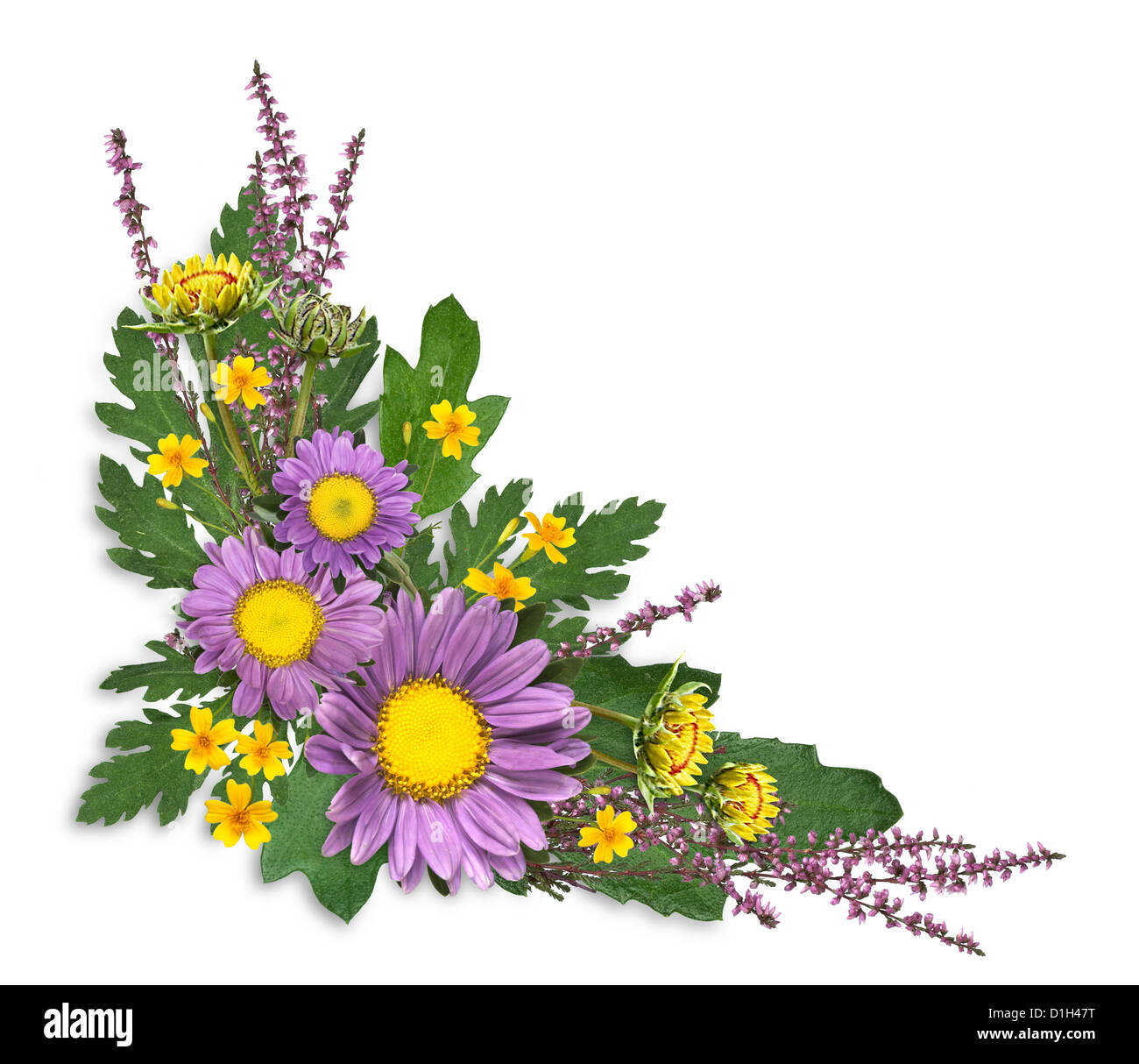 Cadre fait ​​Of découpe fleurs sur fond blanc Banque D'Images