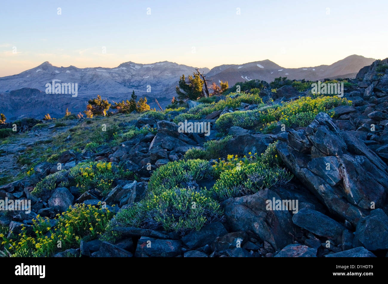 Une vue de désolation désert au coucher du soleil près du sommet du mont Tallac dans Lake Tahoe, CA. Banque D'Images