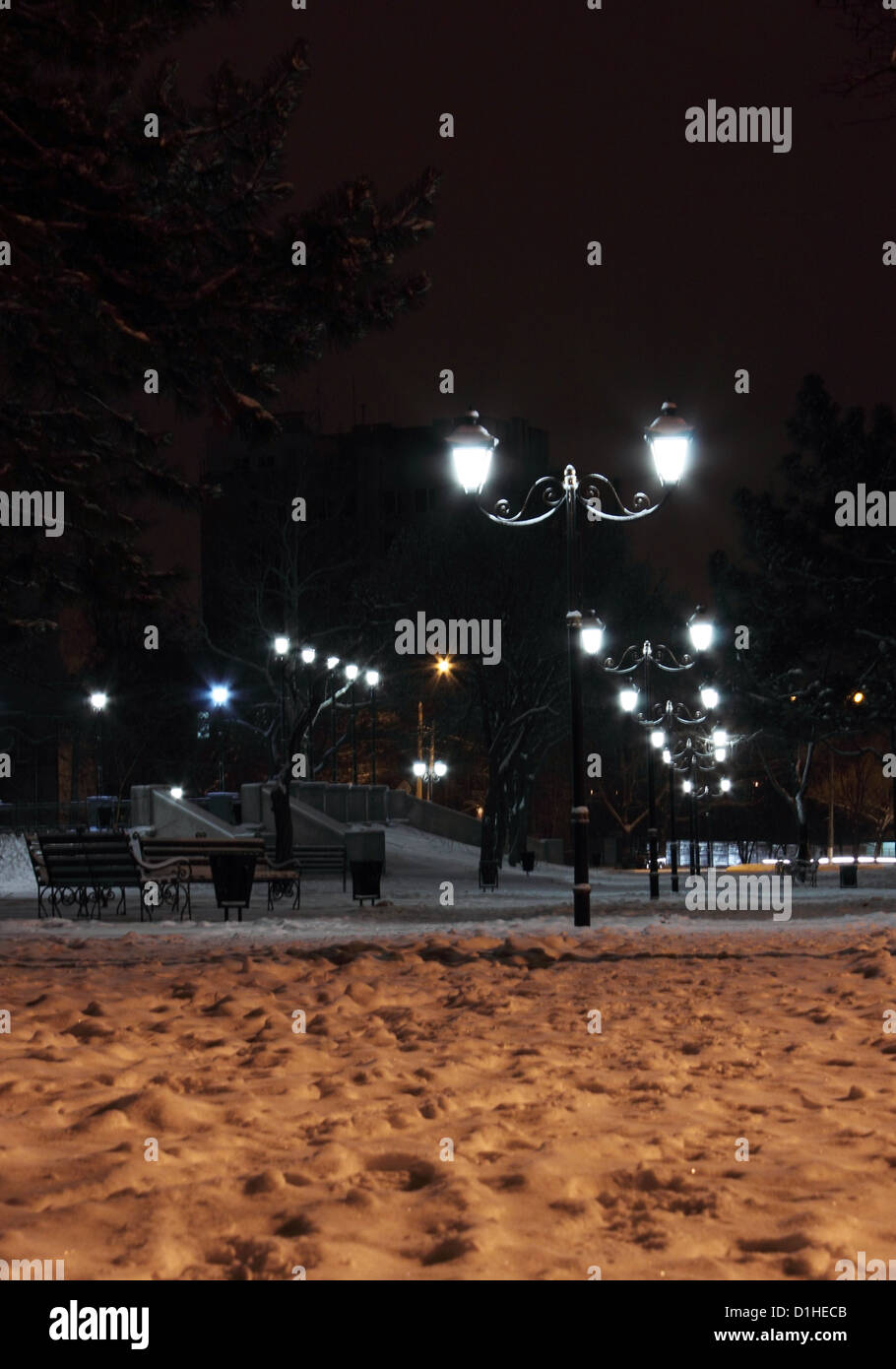 Parc en hiver nuit à Nikolaev Banque D'Images