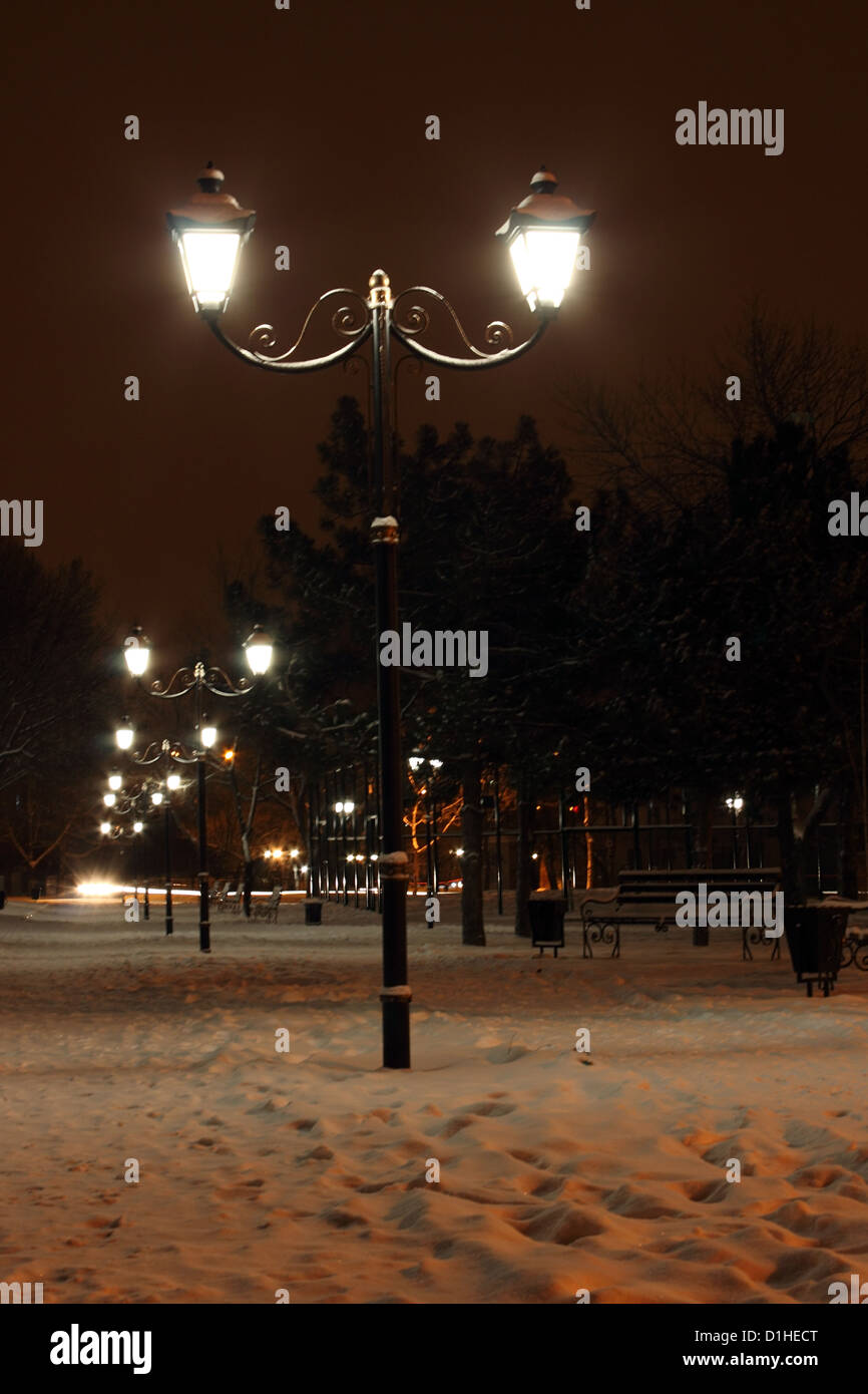 Rangée de lanternes dans la nuit d'hiver au parc Banque D'Images