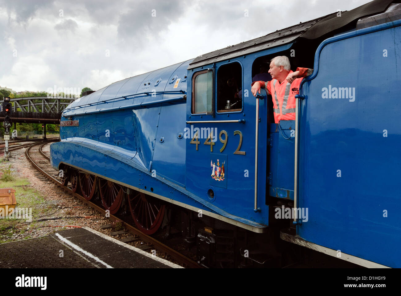 LNER Classe A4 4464 moteur à vapeur Petit Blongios (peint et numérotés 4492 Dominion de la Nouvelle-Zélande) à la gare Temple Meads de Bristol. Banque D'Images