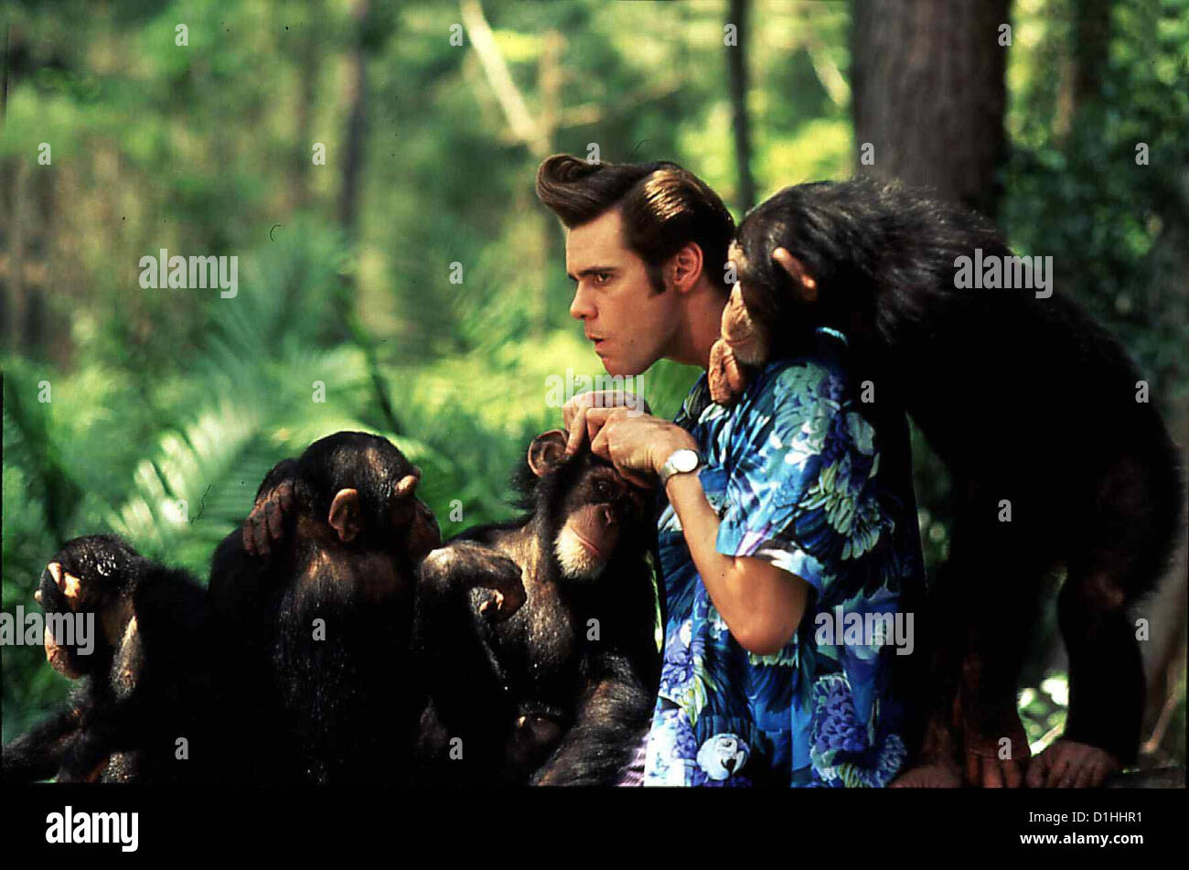 Ace Ventura - Jetzt Wird's Wild Ace Ventura : l'appel de la nature quand Jim Carrey Ace Ventura (Jim Carrey) ruft eine wichtige Mission Banque D'Images