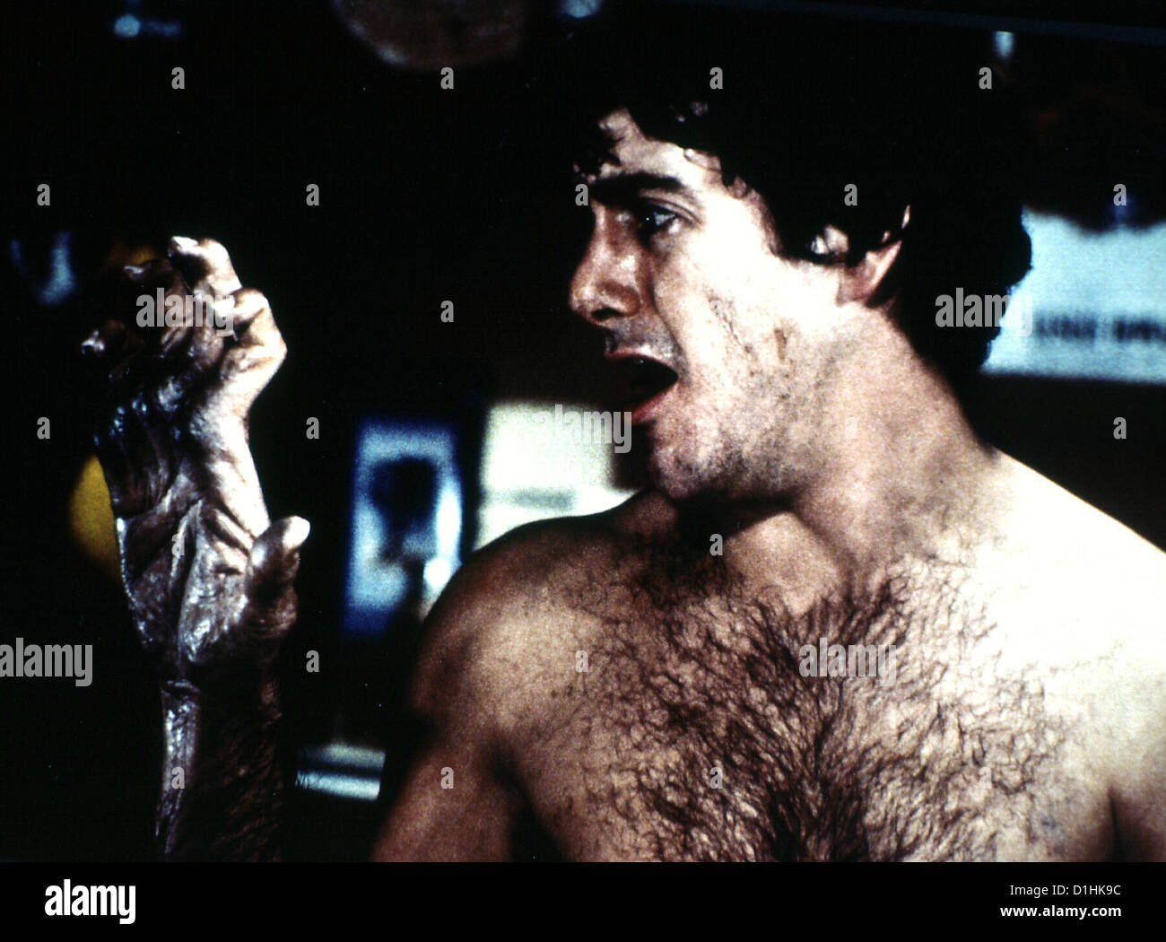 American Werewolf American Werewolf in London, David Naughton David (David Naughton) verwandelt sich einen Werwolf. *** Banque D'Images