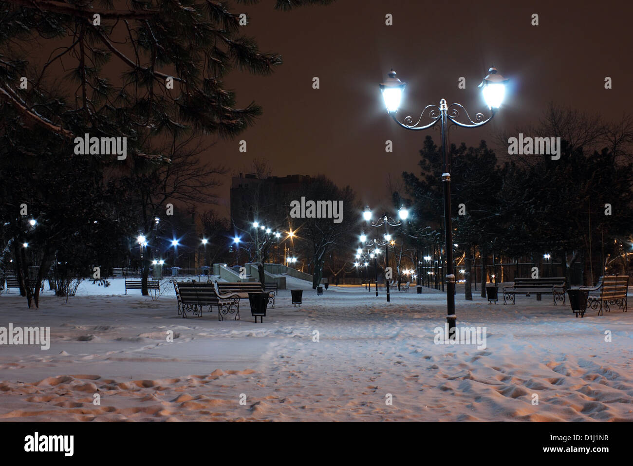 Parc en hiver nuit à Nikolaev Banque D'Images