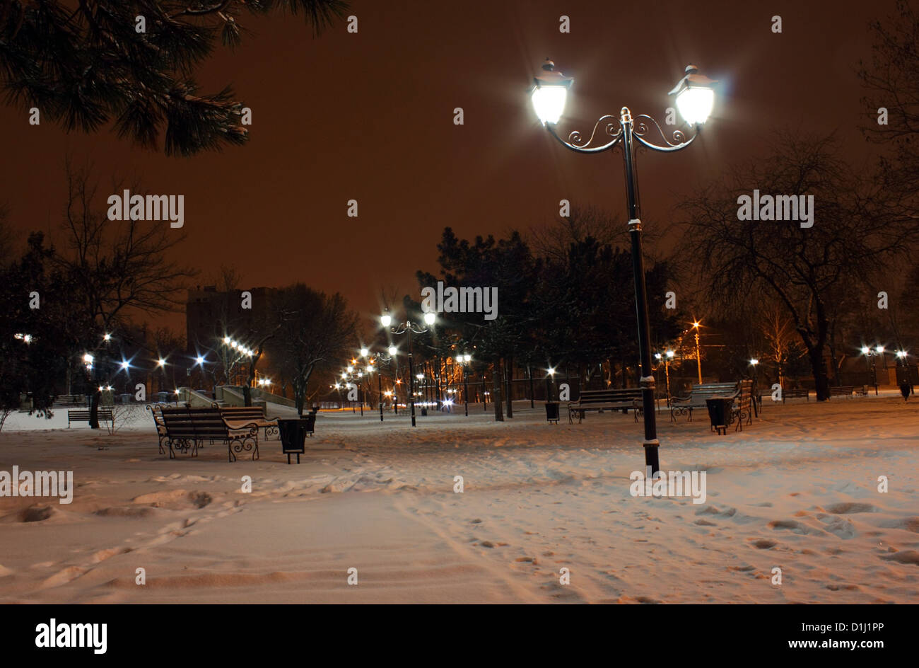 Les lanternes dans la nuit d'hiver au parc Banque D'Images