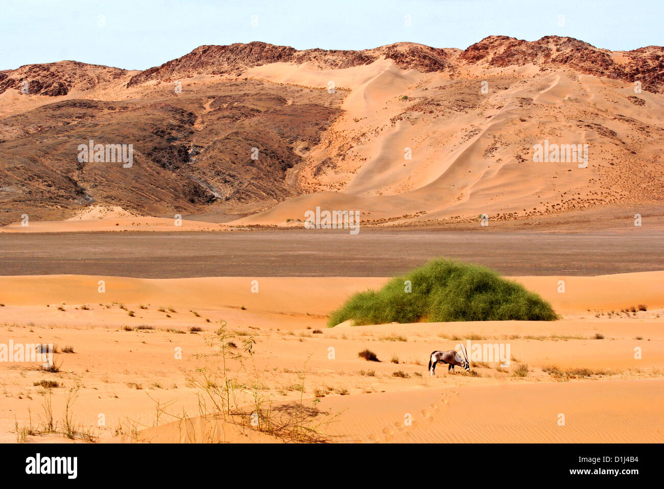 Un Oryx dans les montagnes de la région de Kunene, Hartman, le nord de la Namibie Banque D'Images