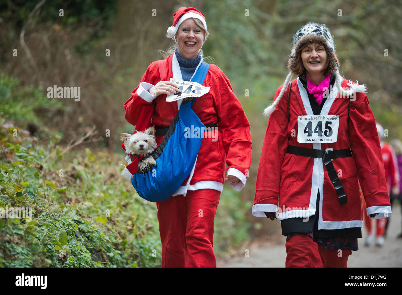 La charité Santa Fun Run de l'aide de St Michael's Hospice. Alexandra Park, Hastings, East Sussex. UK Banque D'Images