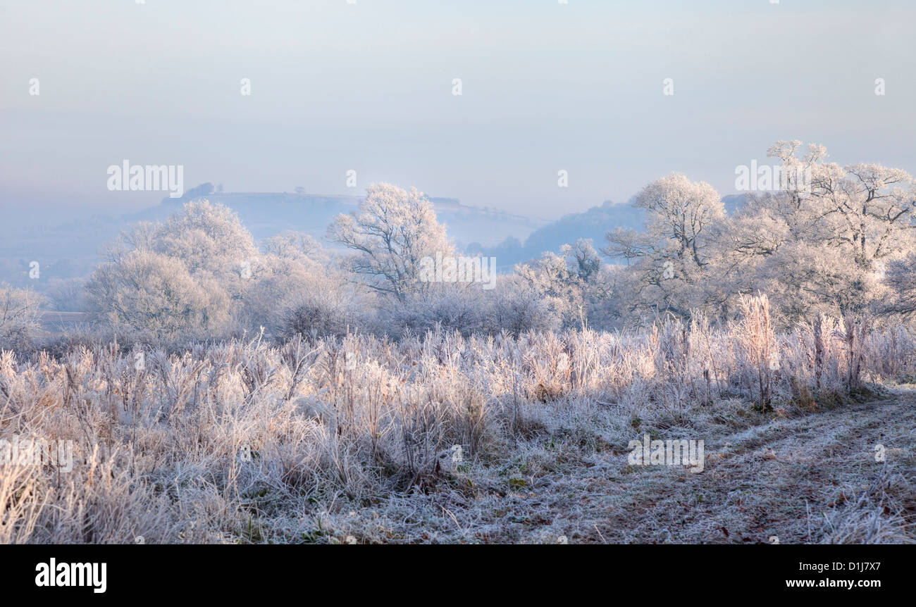 Givre, Gloucestershire, Angleterre Banque D'Images
