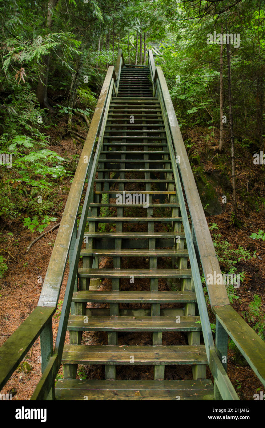 Grand-sault, Nouveau-Brunswick, Canada Banque D'Images