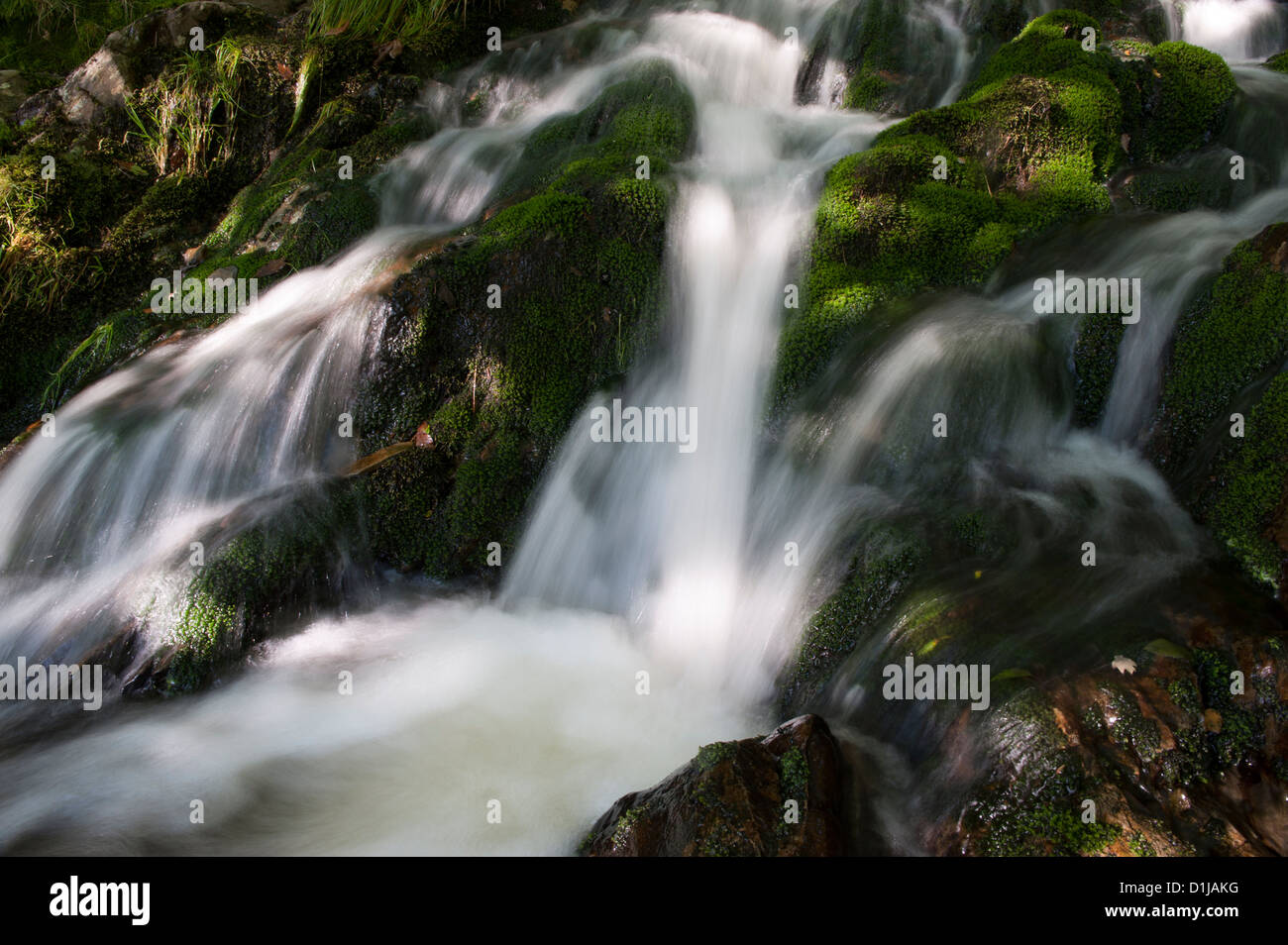 Ruisseau de montagne qui coule dans la vallée de l'Elan, le Pays de Galles. Banque D'Images