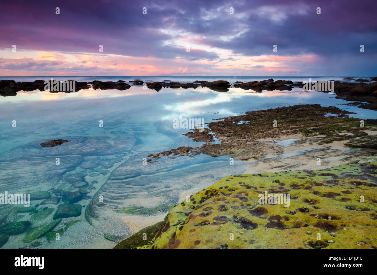 Paysage côtier à Bronte Beach, NSW, Australie Banque D'Images