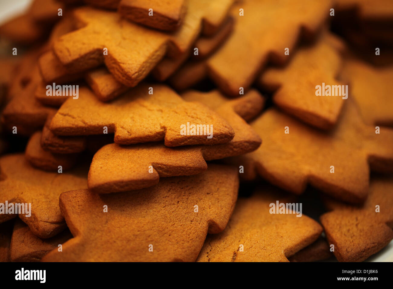 Un certain nombre d'arbre de Noël d'épices en forme de traite sont cuits, illustré ici avant qu'ils ont été décorées Banque D'Images