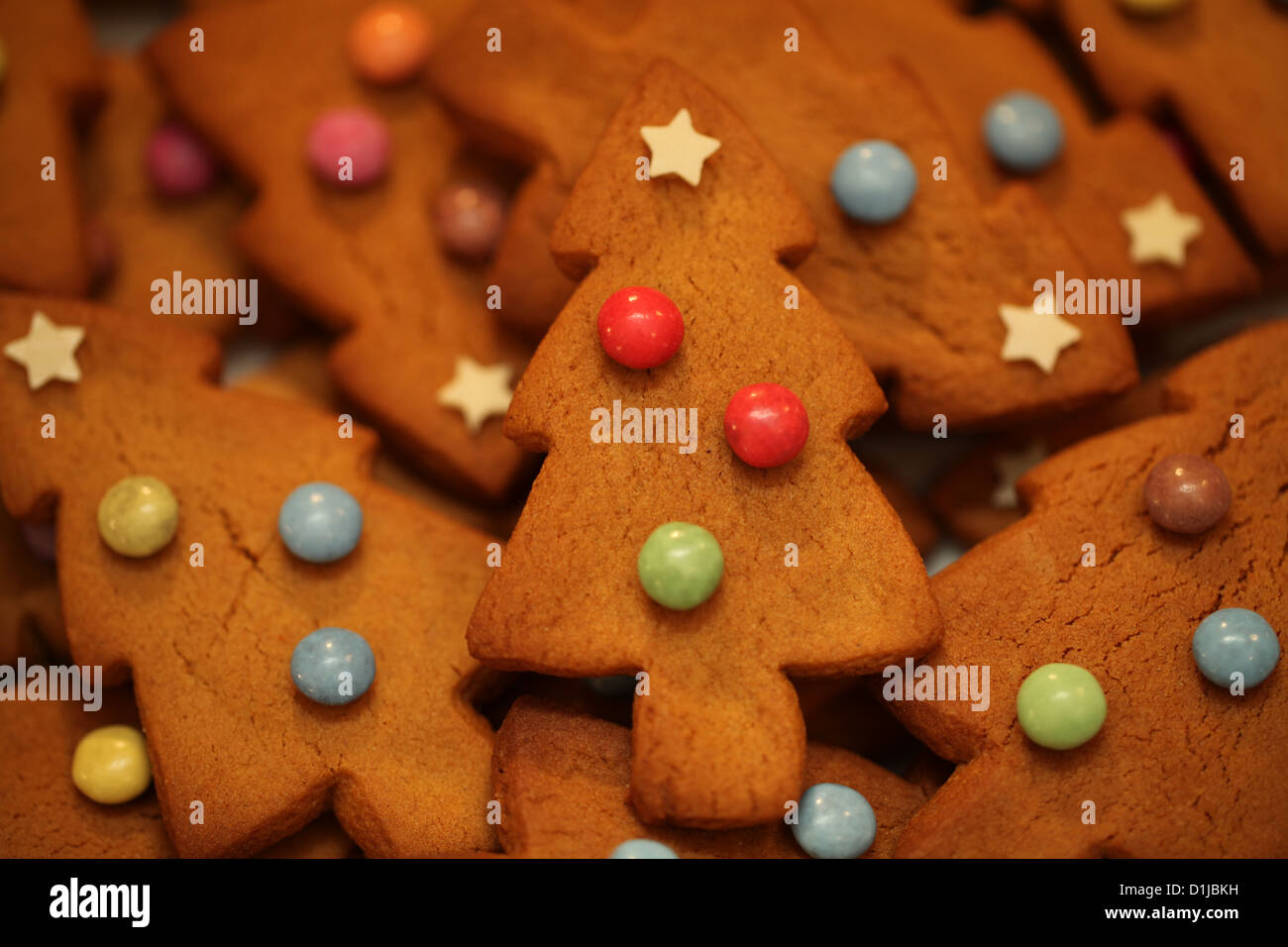 Un certain nombre d'arbre de Noël d'épices en forme de traite sont cuit au four, garni d'étoiles de sucre et Smarties Banque D'Images