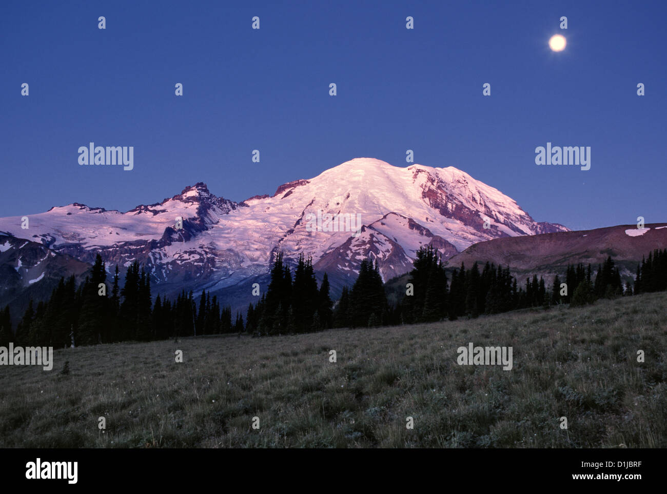 Mt Rainier, Washington Banque D'Images