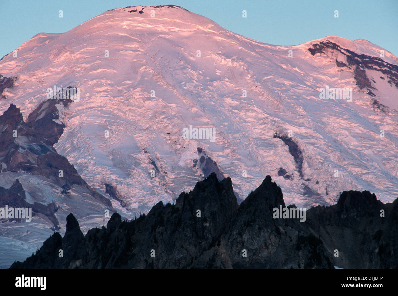 Mt Rainier, Washington Banque D'Images