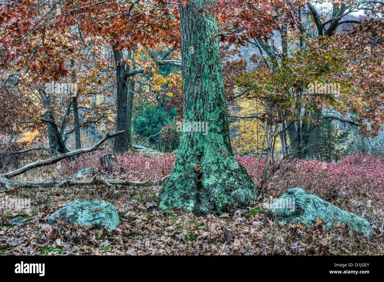 Parc d'État Harriman, New York State Banque D'Images