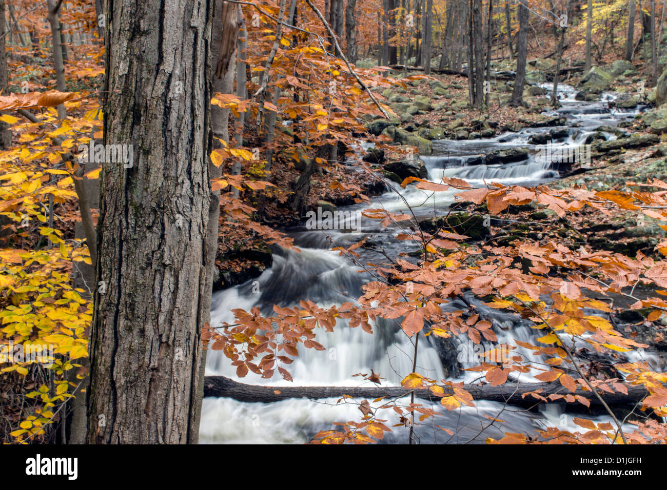 Parc d'État Harriman, New York State Banque D'Images