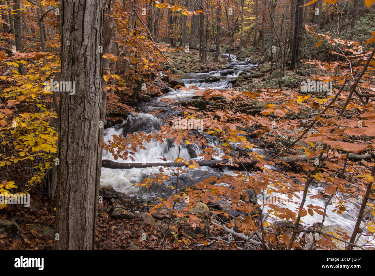 Parc d'État Harriman, New York State Banque D'Images