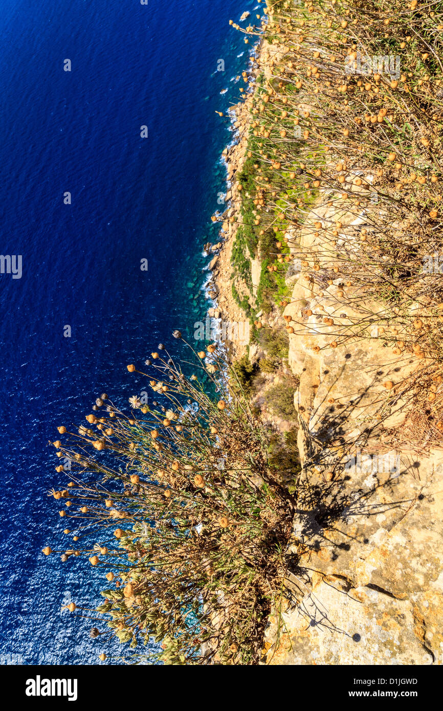 Vue aérienne de la belle côte pittoresque près de Cassis, dans le sud de la France Banque D'Images