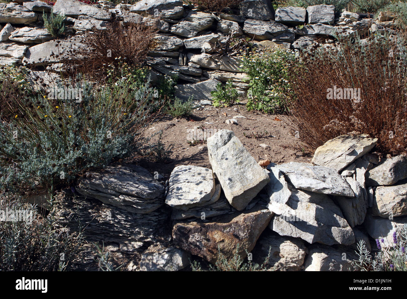 Rocaille sèche pour les plantes murales de jardin Banque D'Images