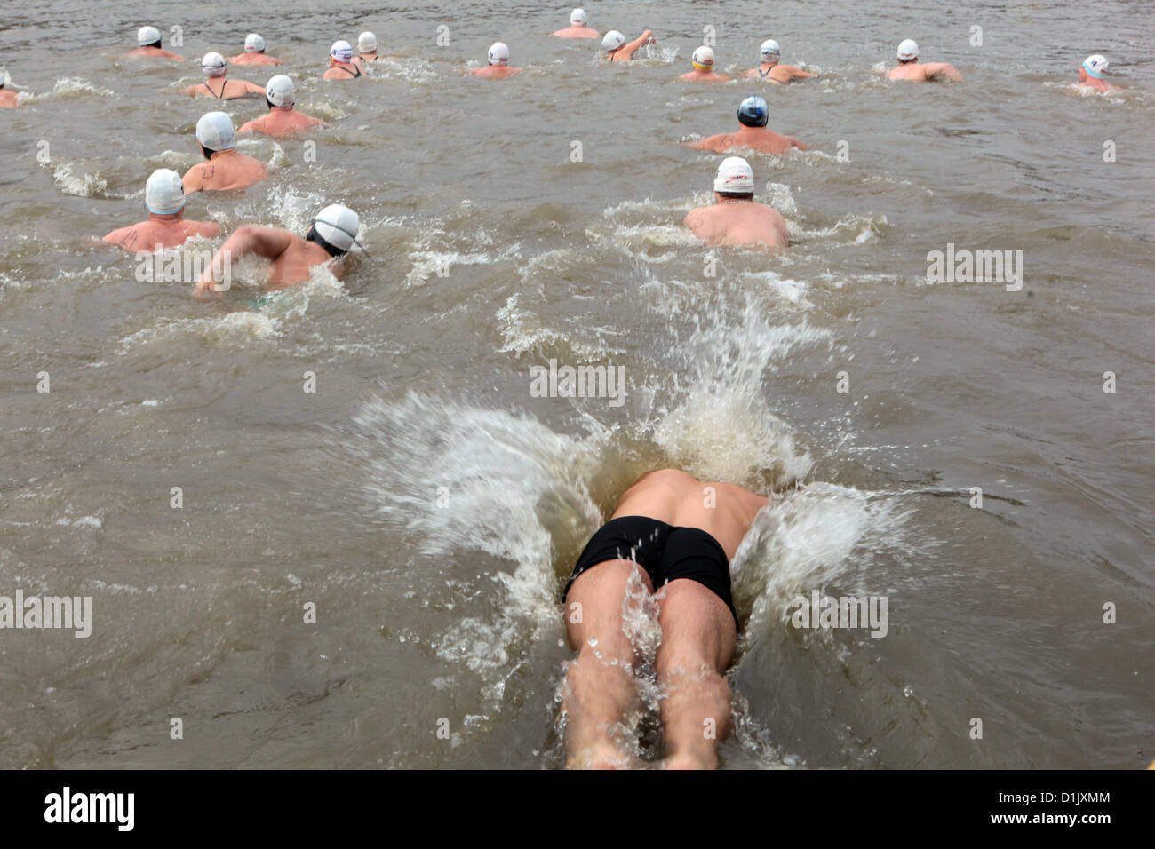 Décembre 26, 2012 Prague, République tchèque, Polar swimmer a sauté dans la rivière Vltava Banque D'Images