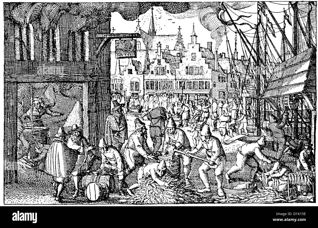 Illustration de salage et d'emballage de harengs à Amsterdam au 16ème siècle, les Pays-Bas, l'Europe, Banque D'Images