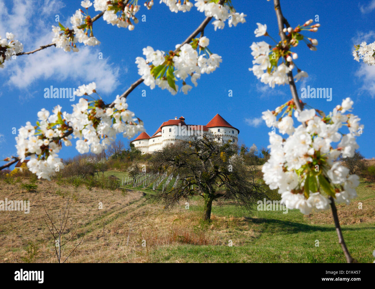 Château de Veliki Tabor - Croatie Banque D'Images