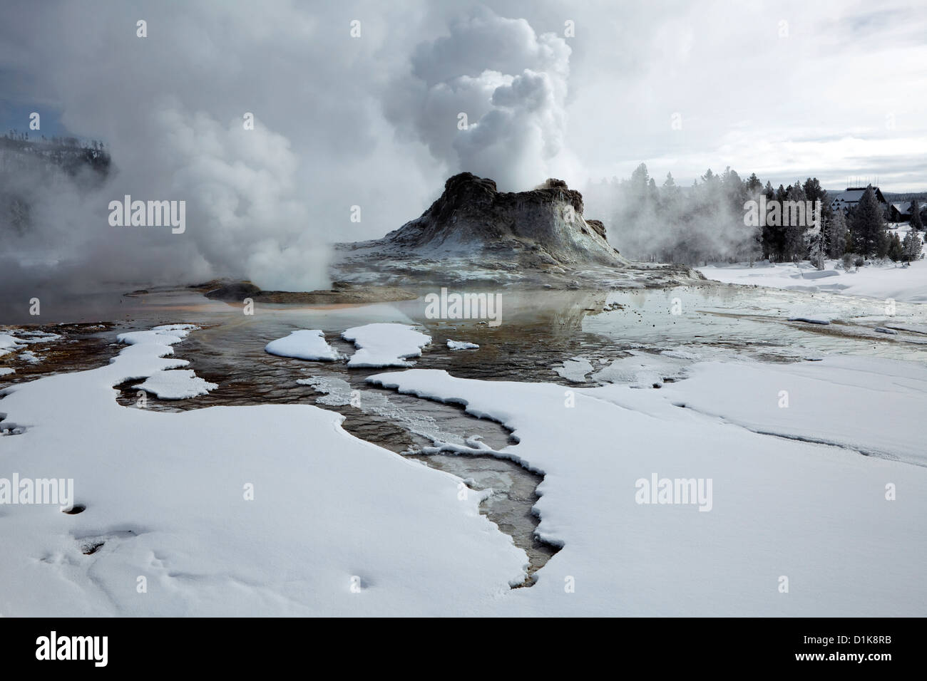 WY00217-00...WYOMING - Castle Geyser qui éclaterait en haut à Geyser Basin de Parc National de Yellowstone. Banque D'Images