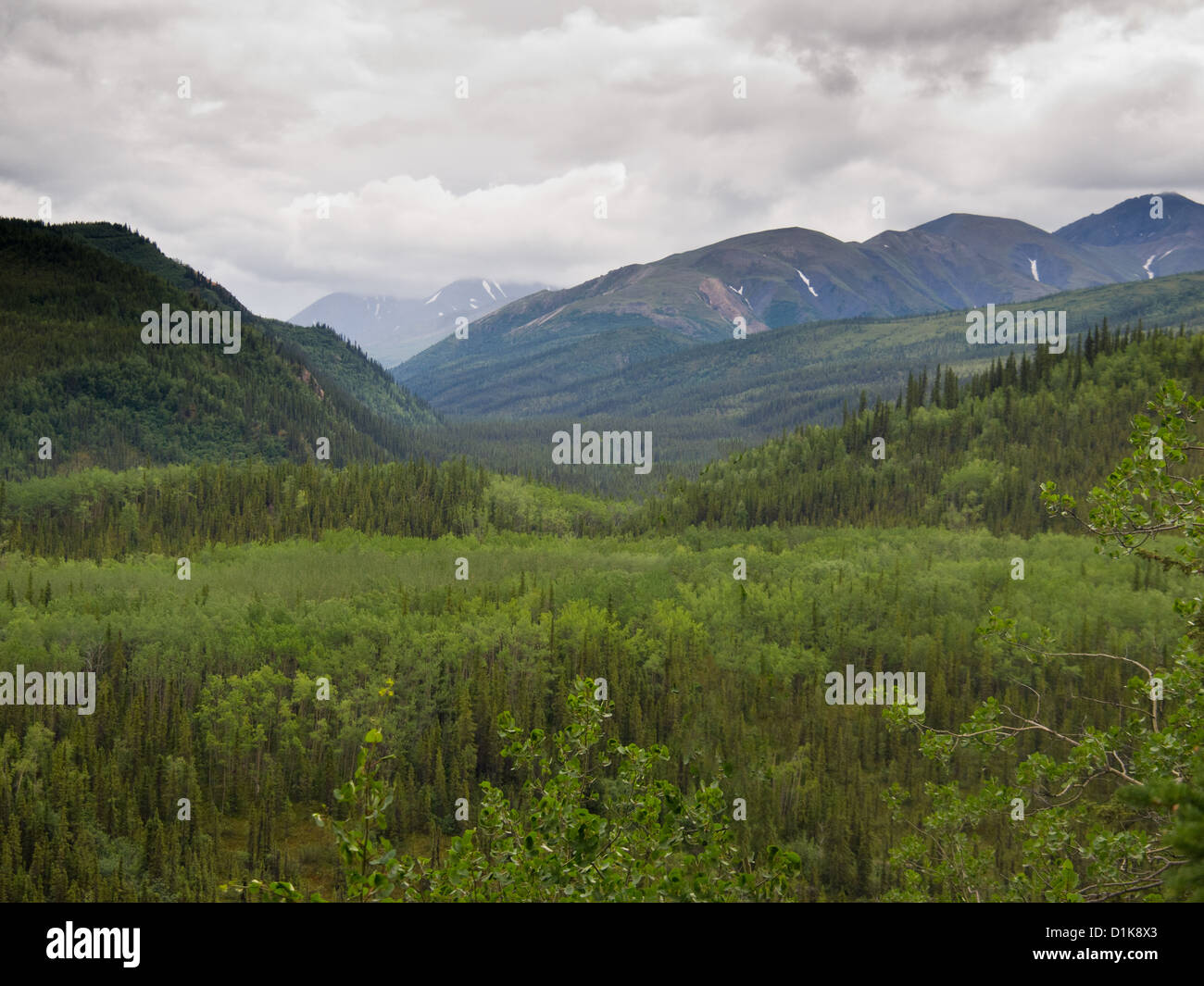 Vue du belvédère, Denali Banque D'Images