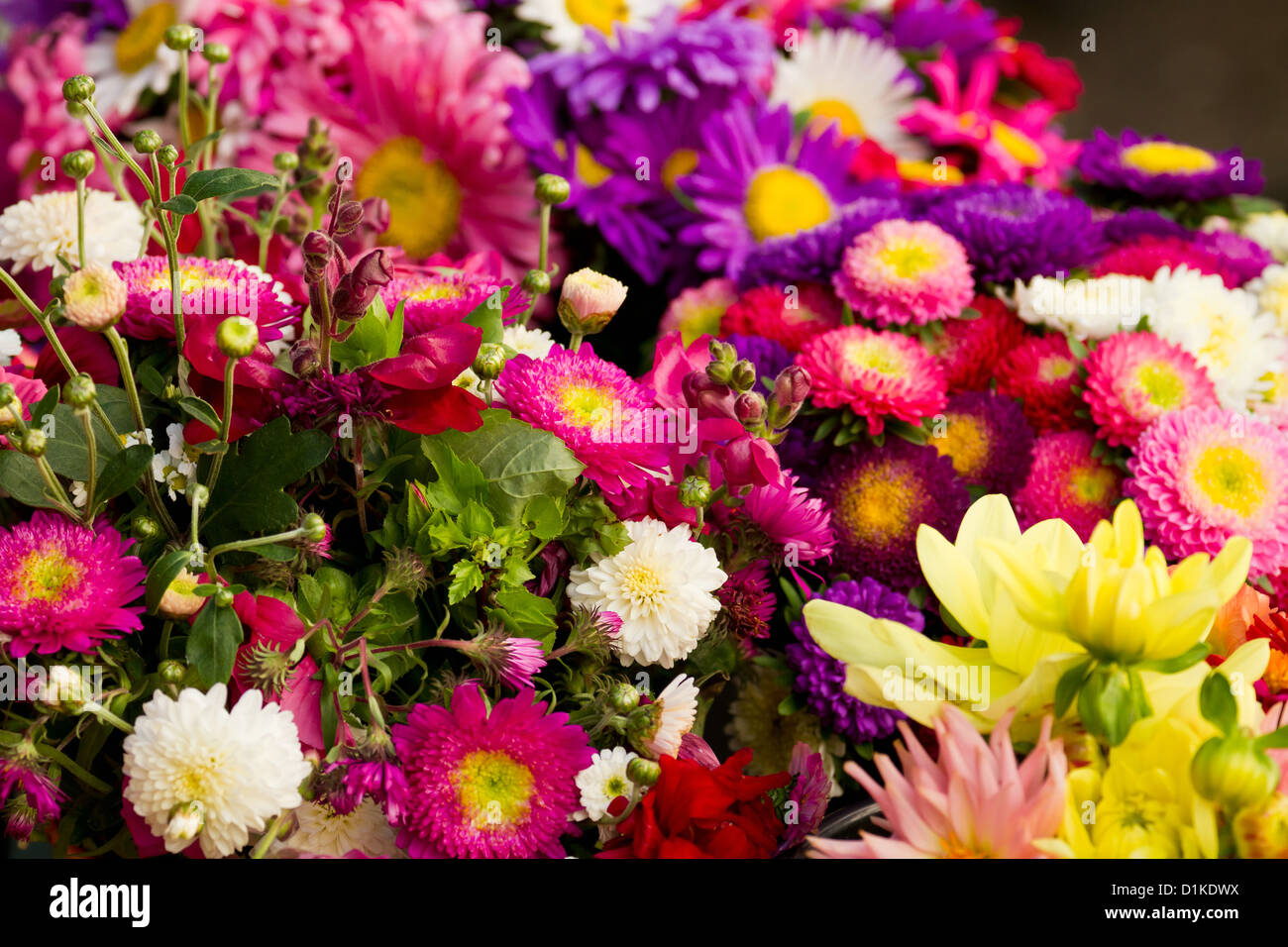 Bouquet de fleurs sur un marché de Hambourg, Allemagne Banque D'Images