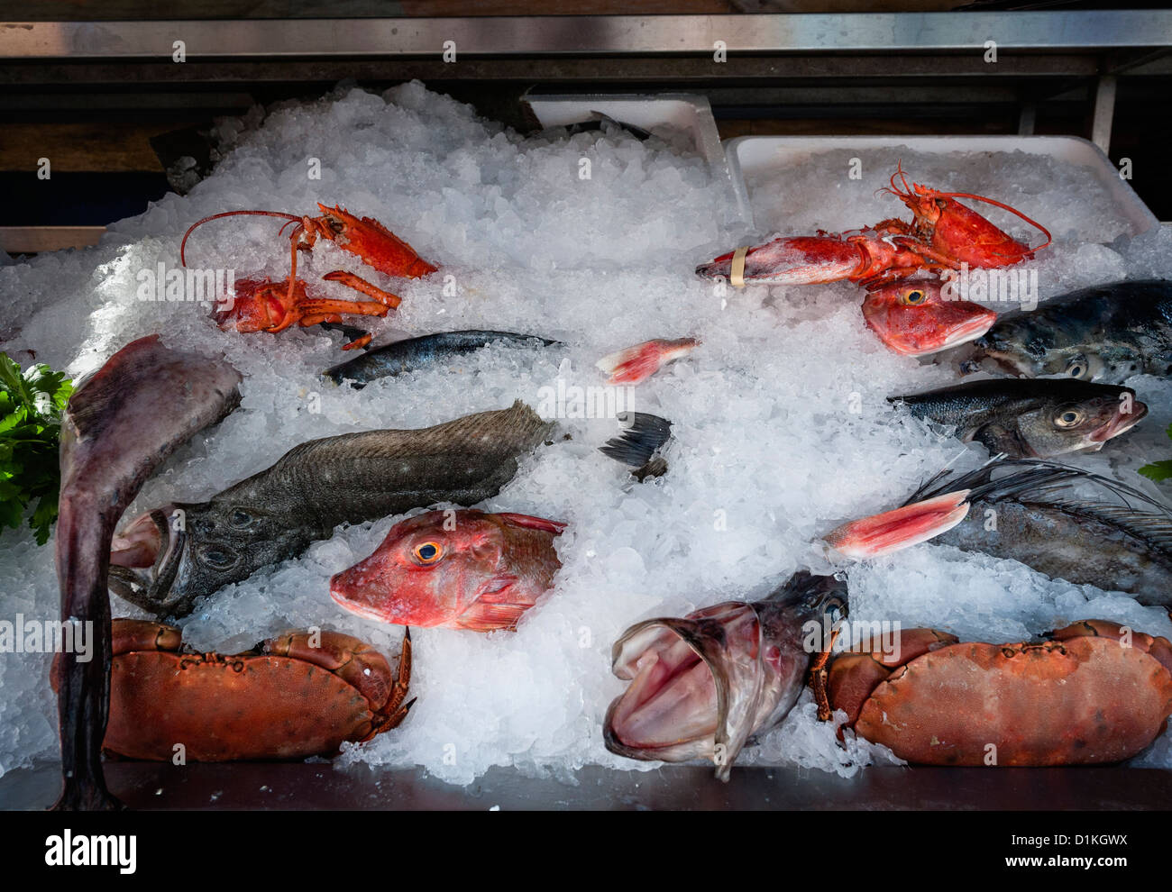 Fruits de mer Banque D'Images Fruits de mer Banque D'Images